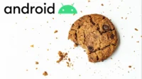 Come rimuovere i cookie dal tuo dispositivo Android nel 2023