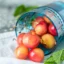 5 benefici per la salute delle ciliegie più piovose che potrebbero sorprenderti