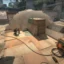 Todos os mapas confirmados para Counter-Strike 2