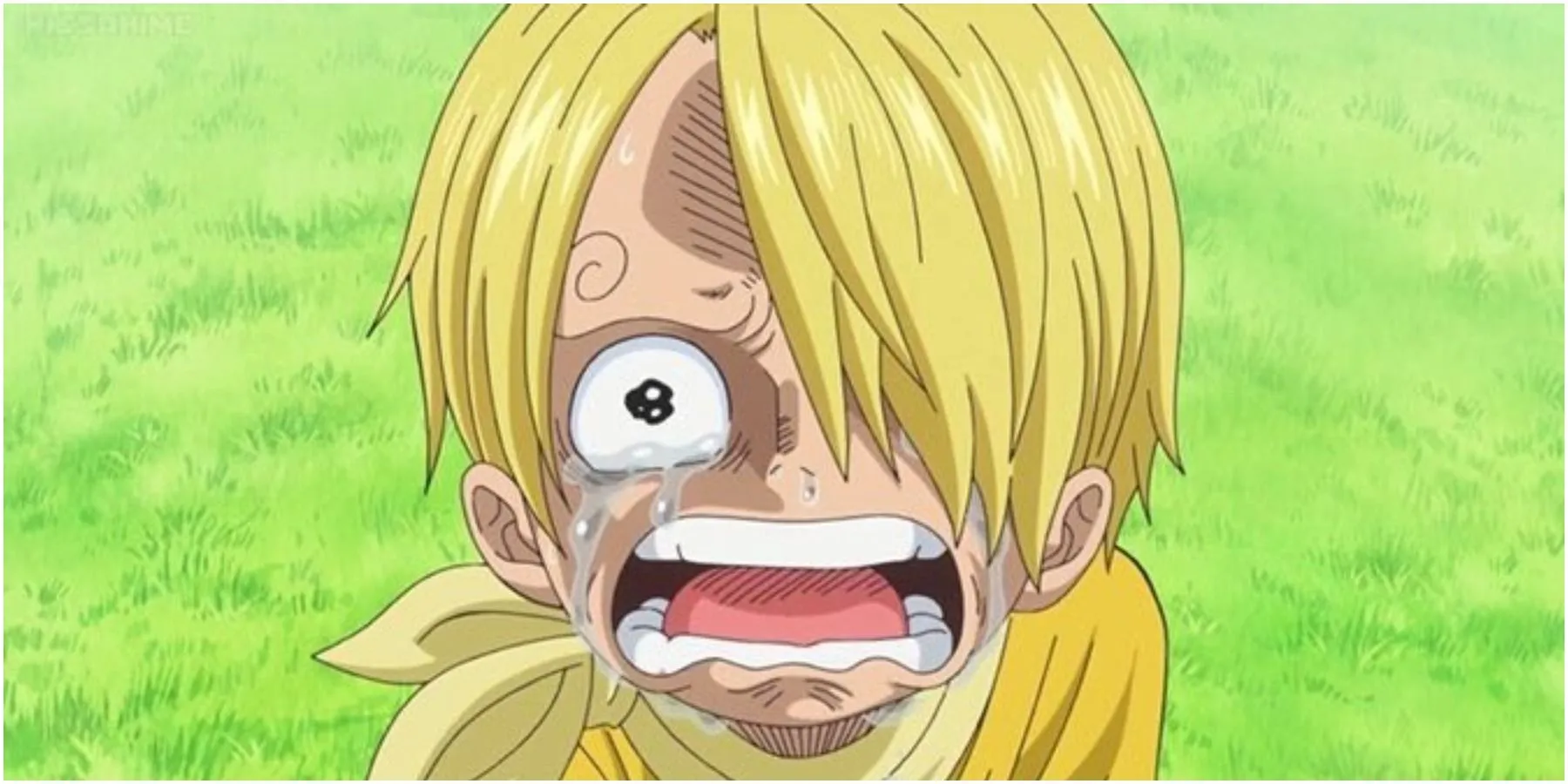 Sanji huilt nadat hij is mishandeld