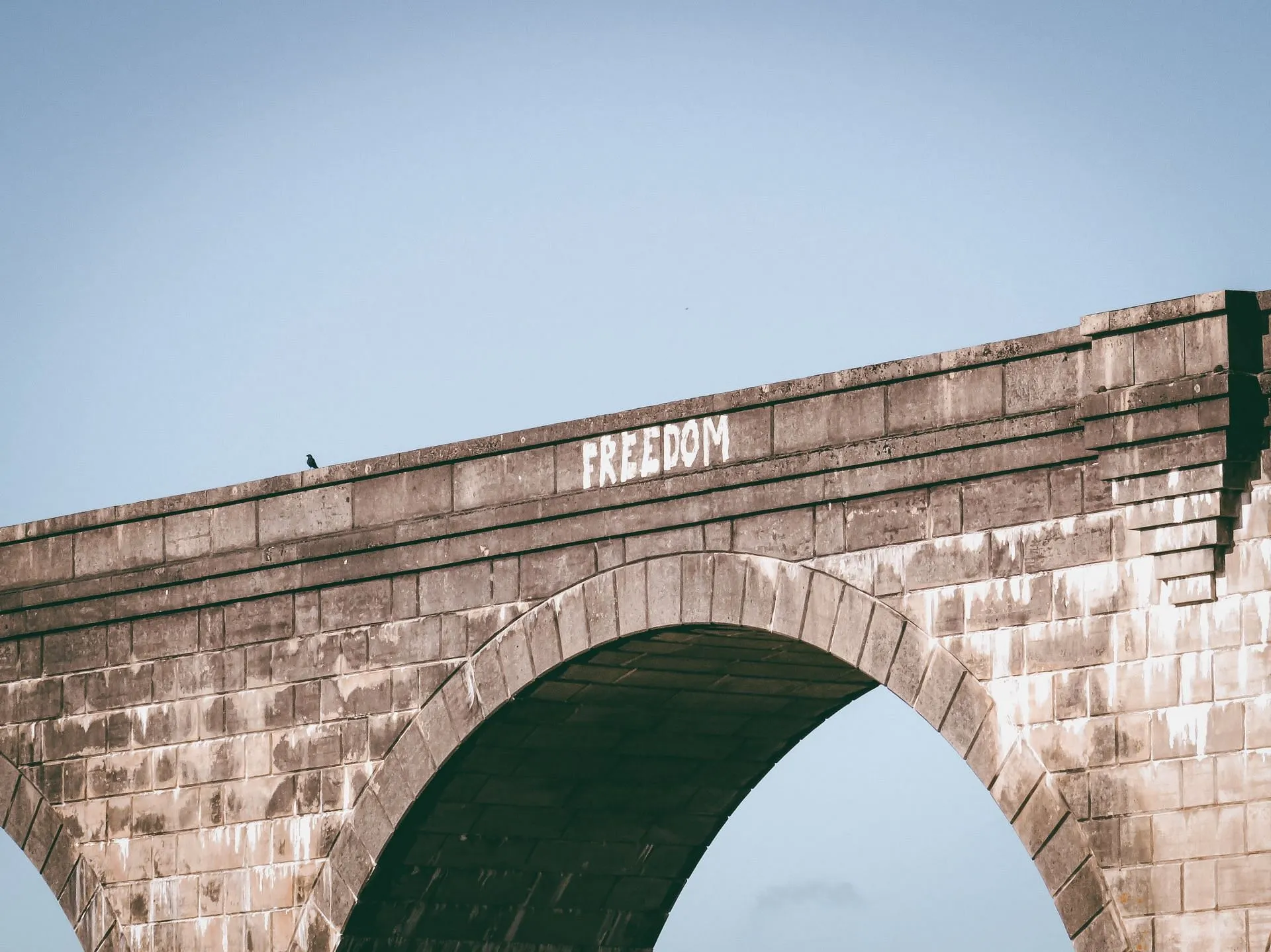 Sommige individuen kiezen ervoor om afwijkend te zijn, omdat ze een nieuw soort onafhankelijkheid en vrijheid vinden. (Afbeelding via Pexels/JD-fotografie)