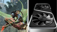 Nvidia RTX 3060 和 RTX 3060 Ti 的 Pandora 图形设置的最佳头像前沿